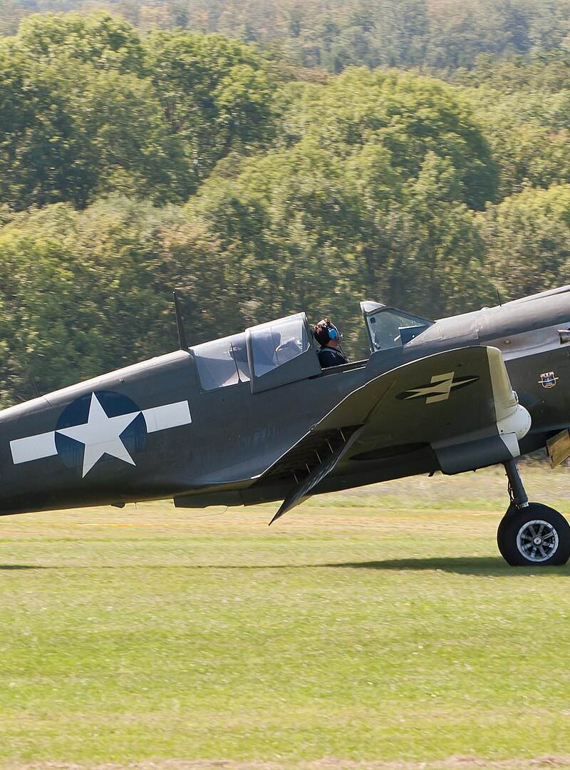  - Warbird