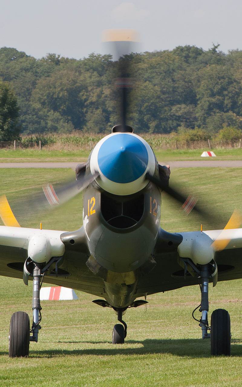  - Warbird