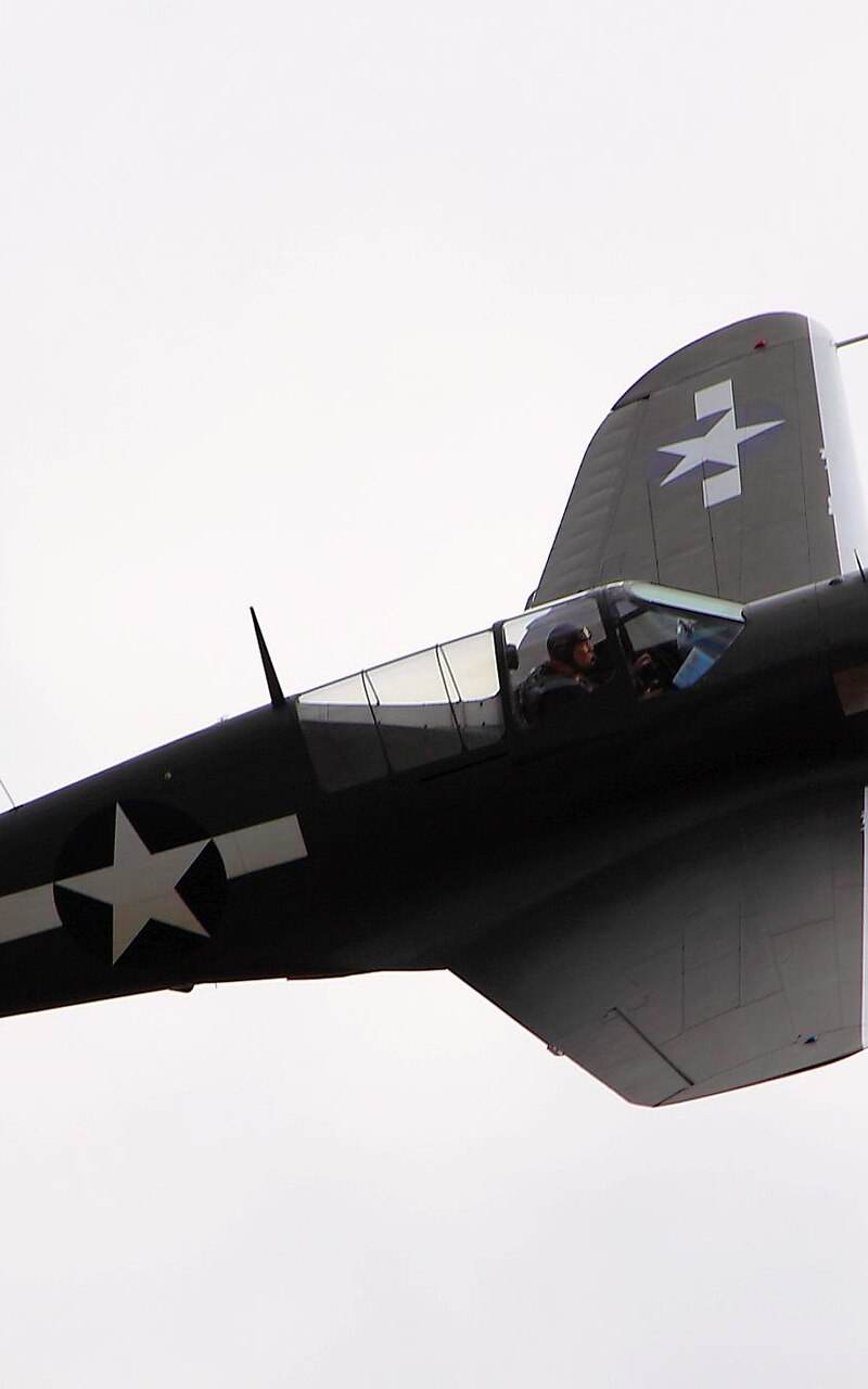  - Warbird