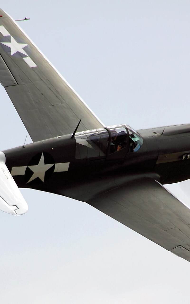  - Warbird