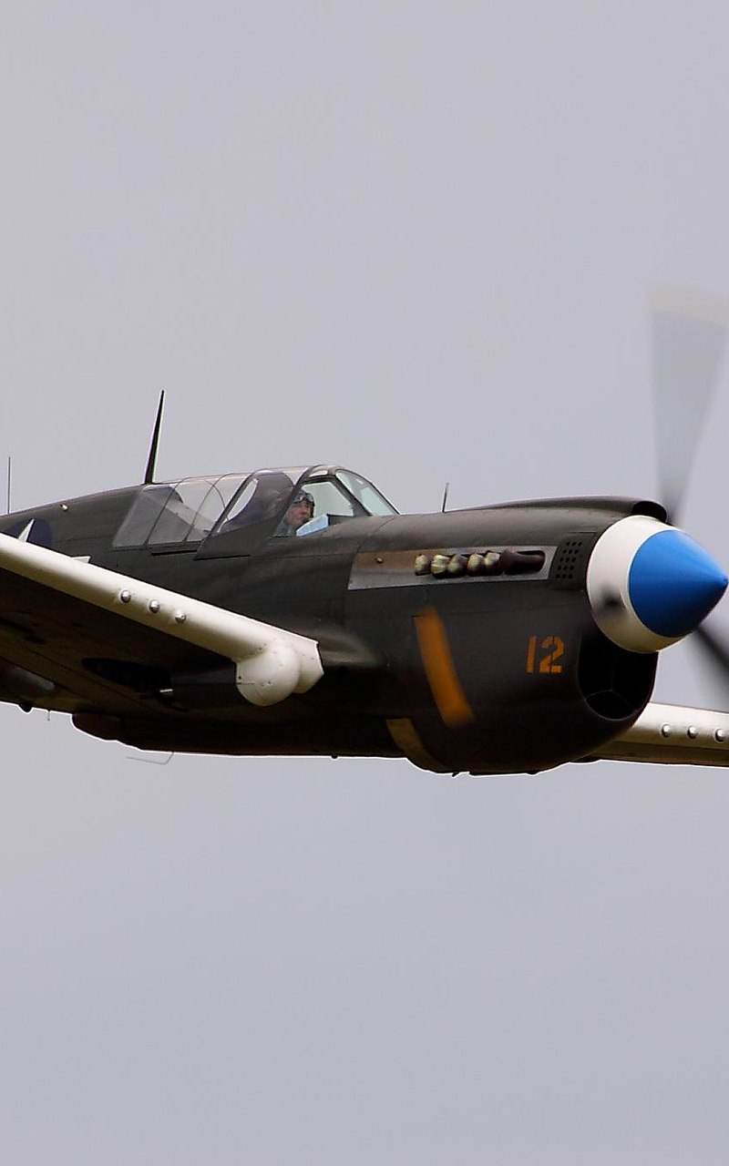  - Warbird