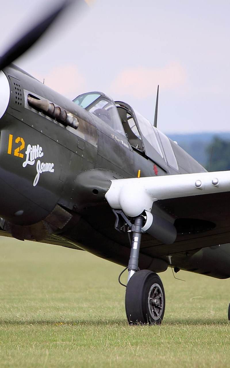  - Warbird