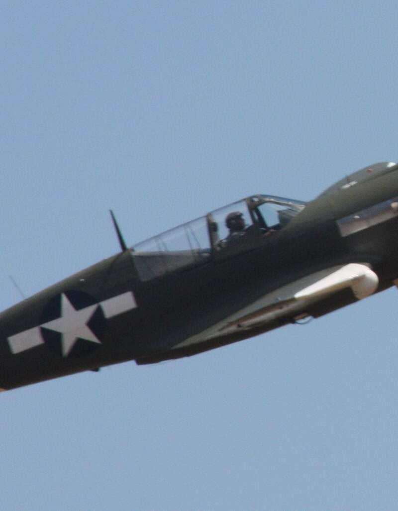  - Warbird