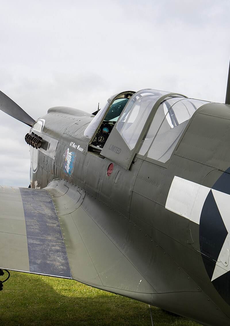  - Warbird