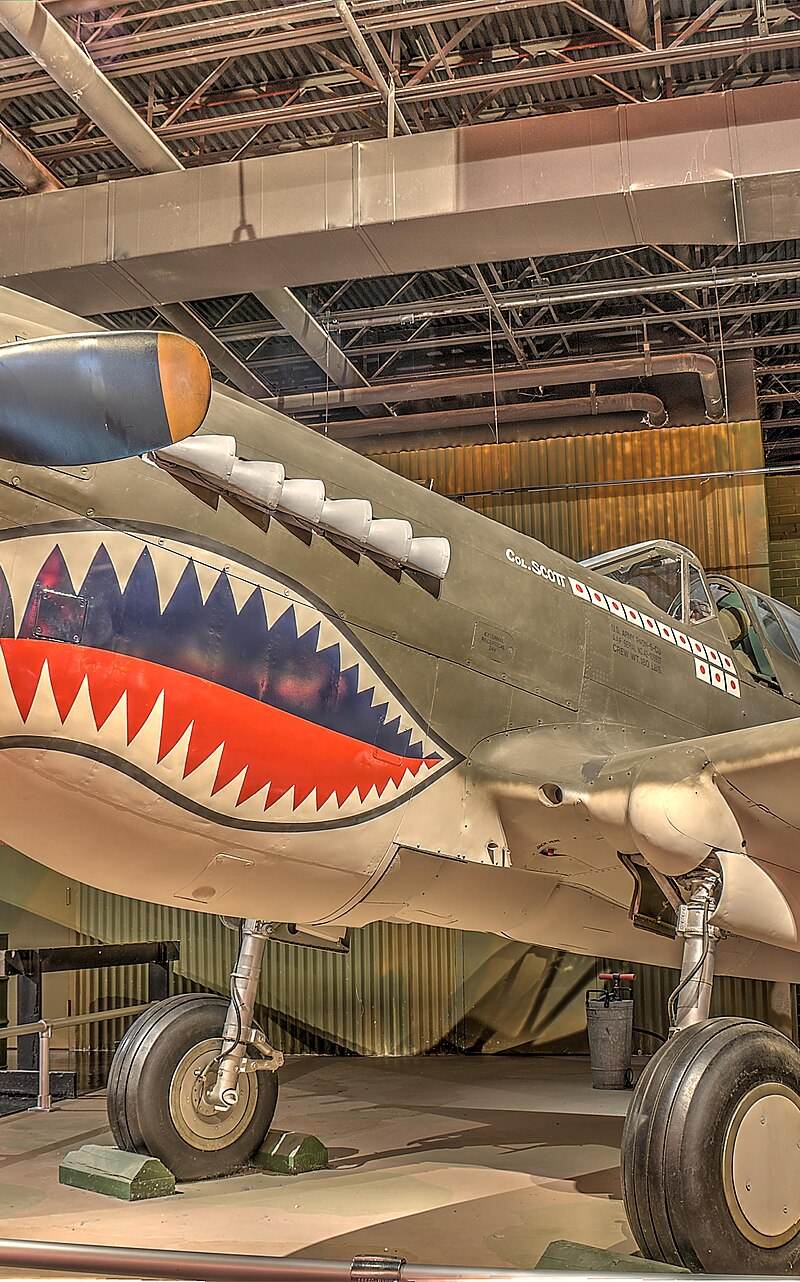  - Warbird