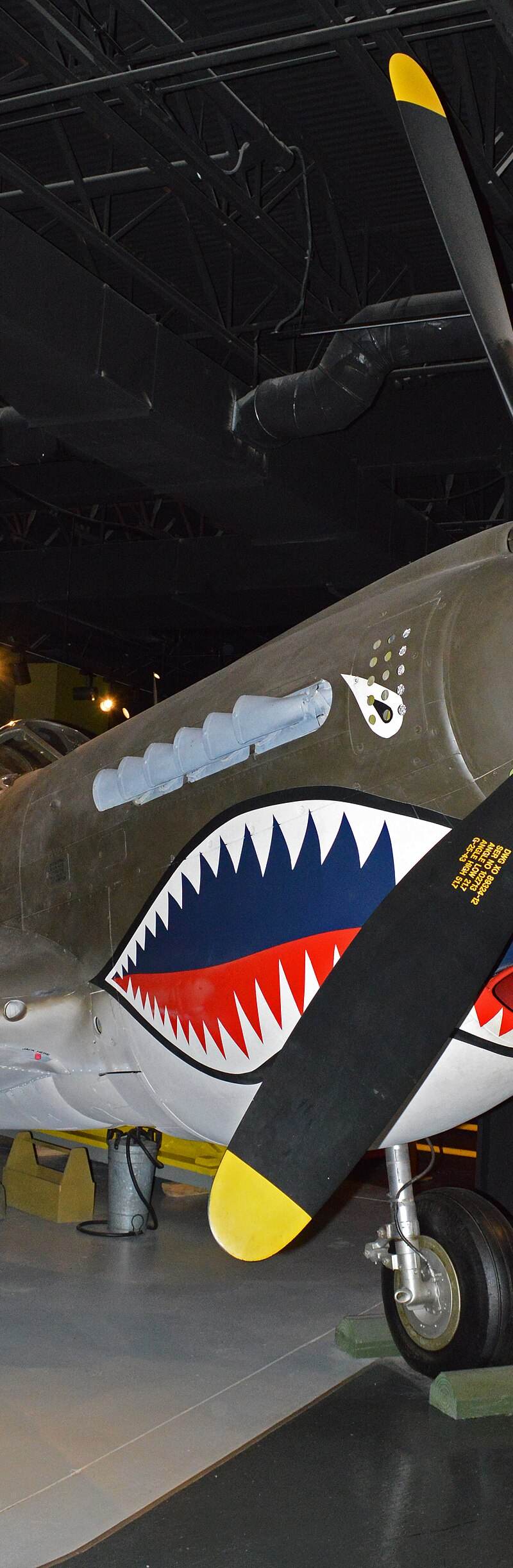  - Warbird