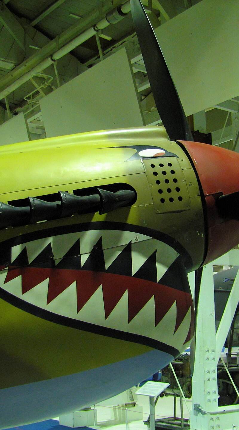  - Warbird