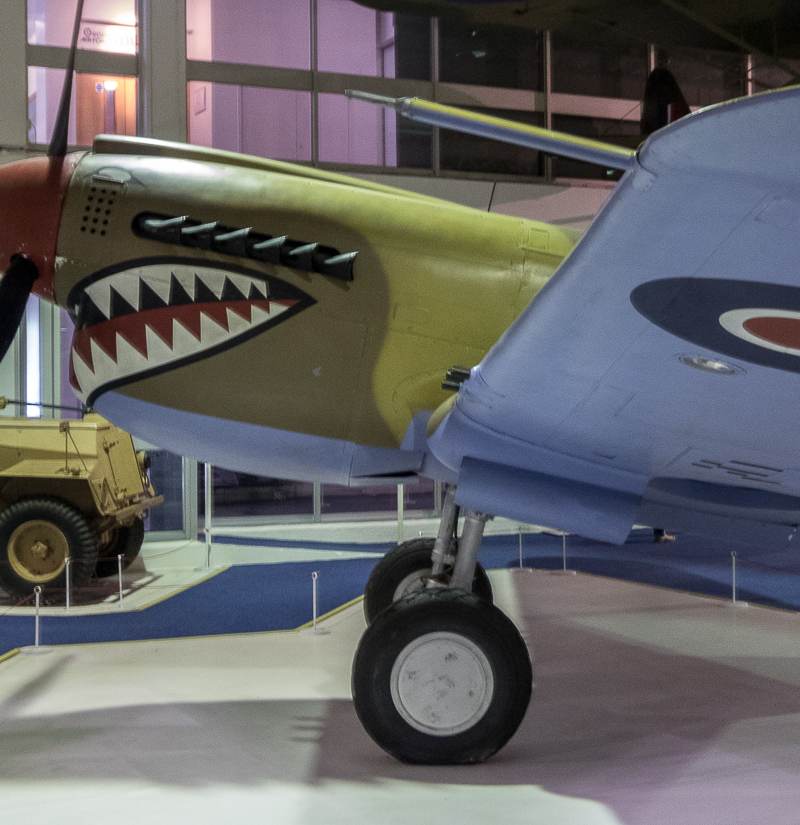  - Warbird