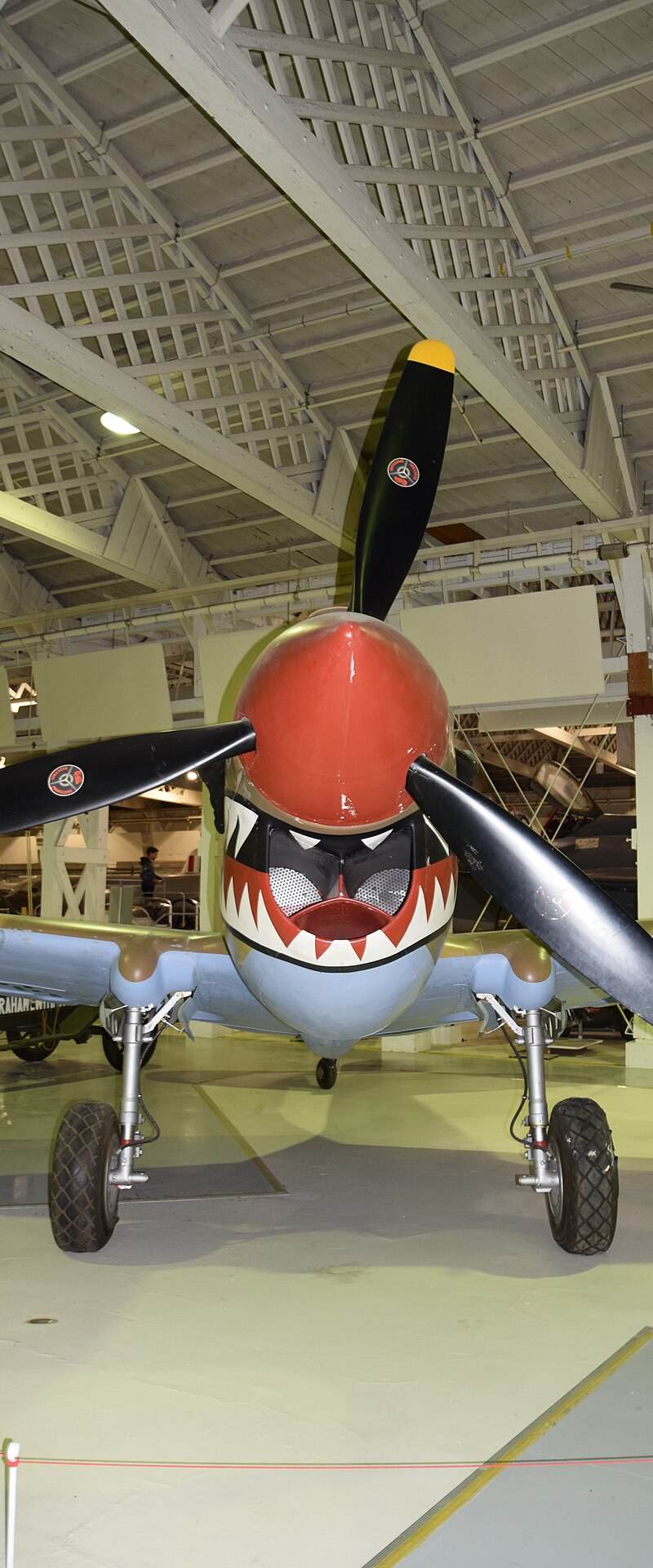  - Warbird