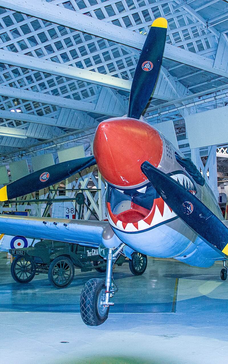  - Warbird