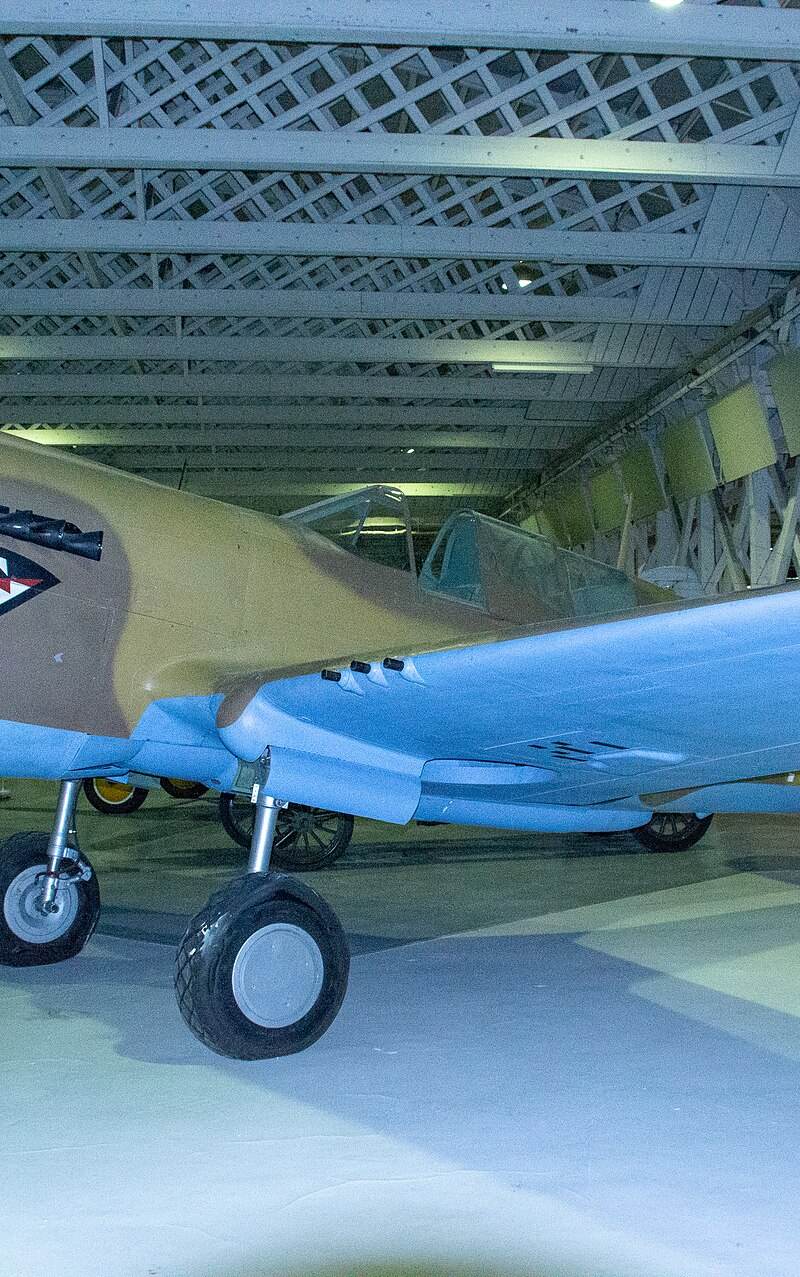  - Warbird