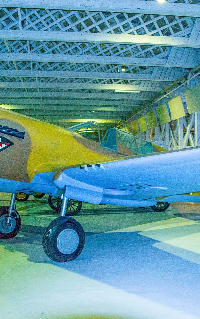  - Warbird
