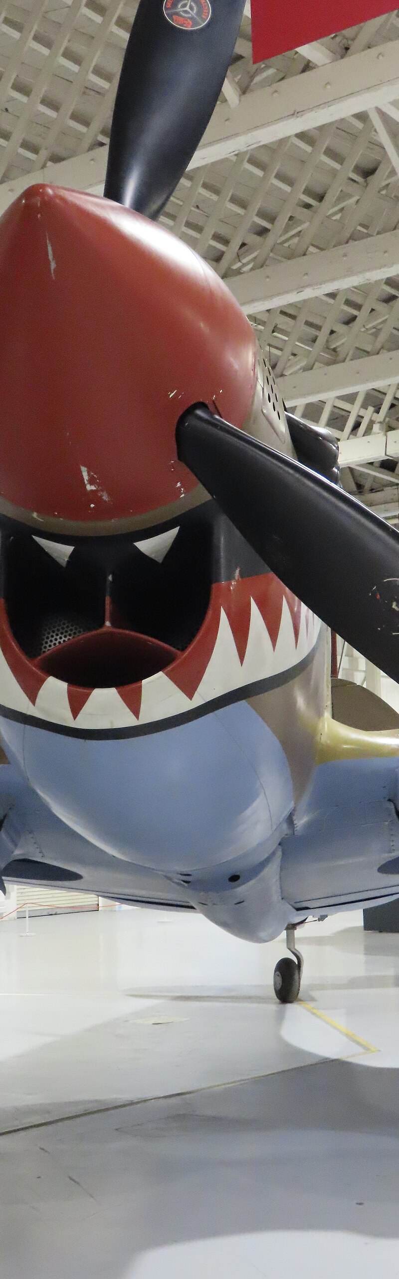  - Warbird