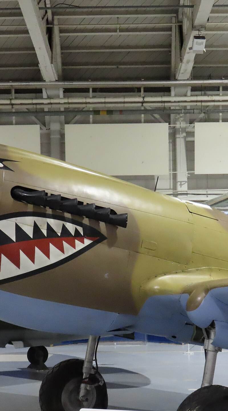  - Warbird