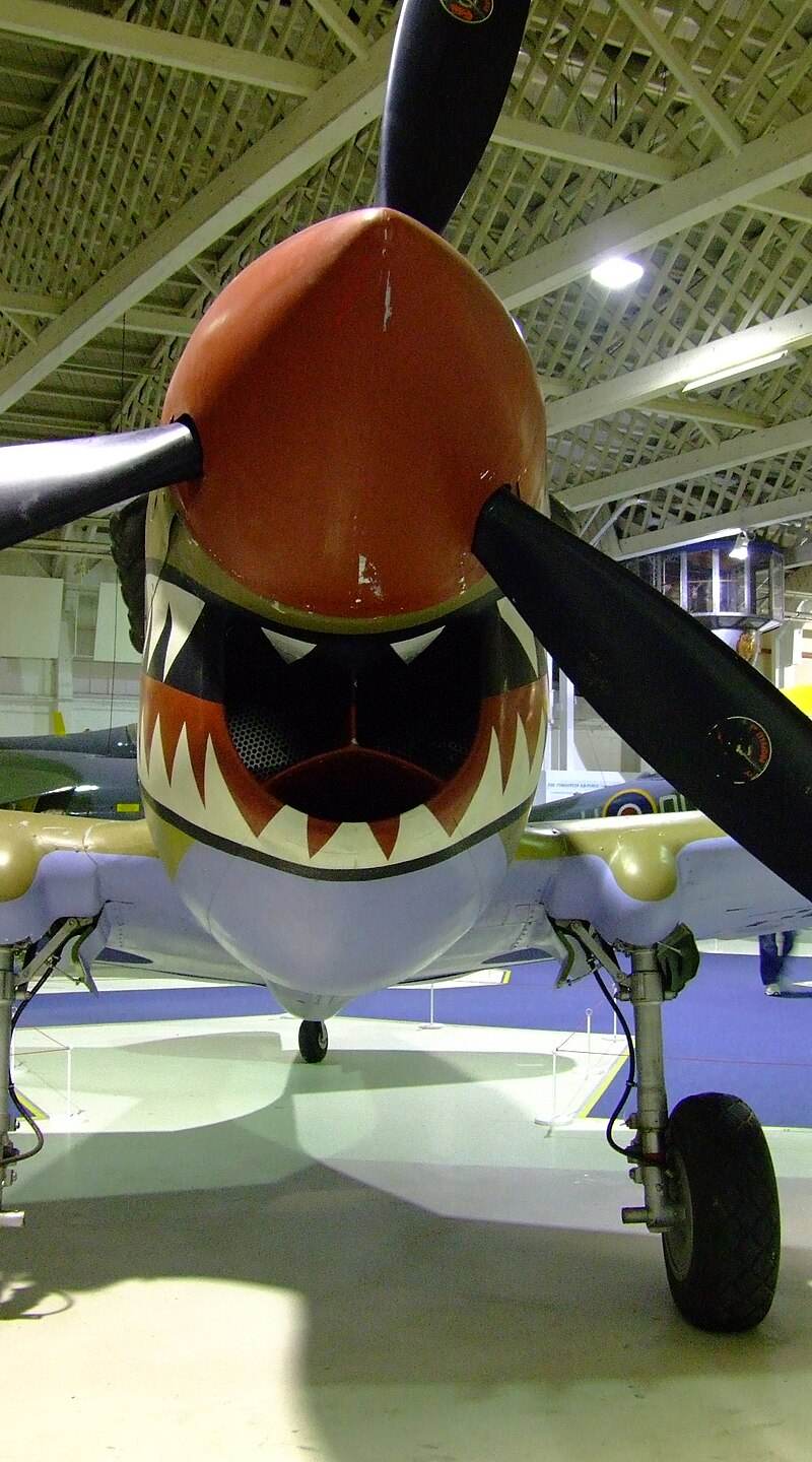  - Warbird