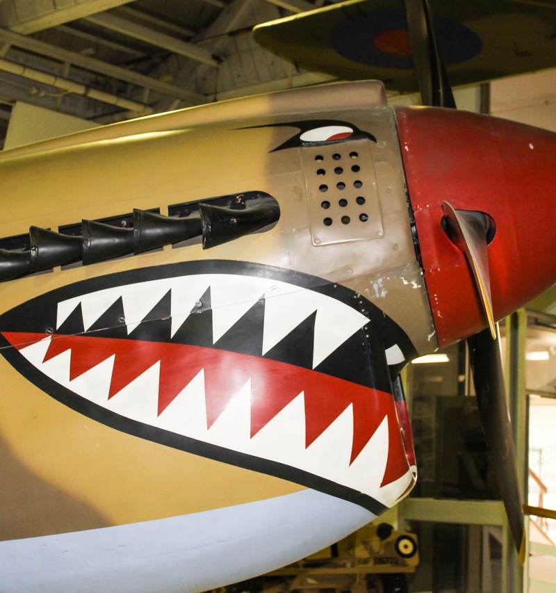  - Warbird
