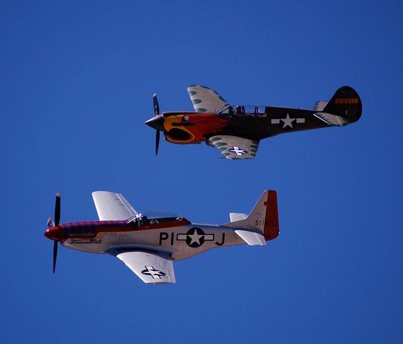 N1195N - Warbird