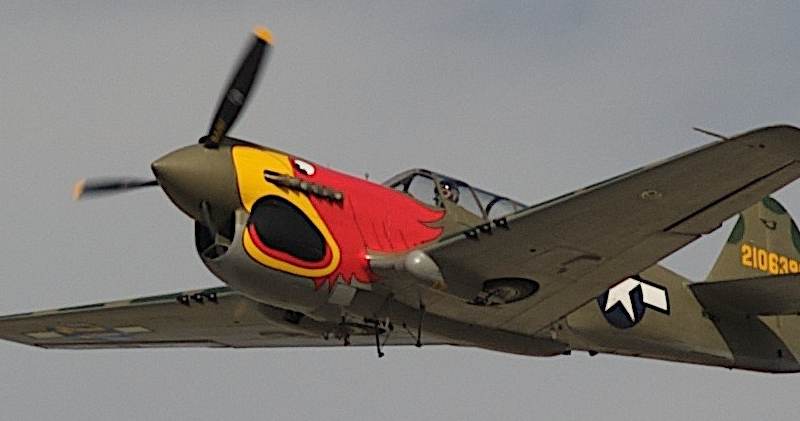 N1195N - Warbird