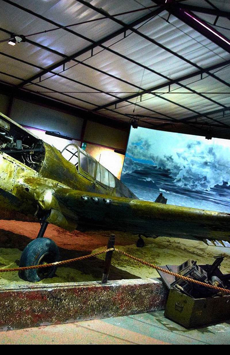  - Warbird