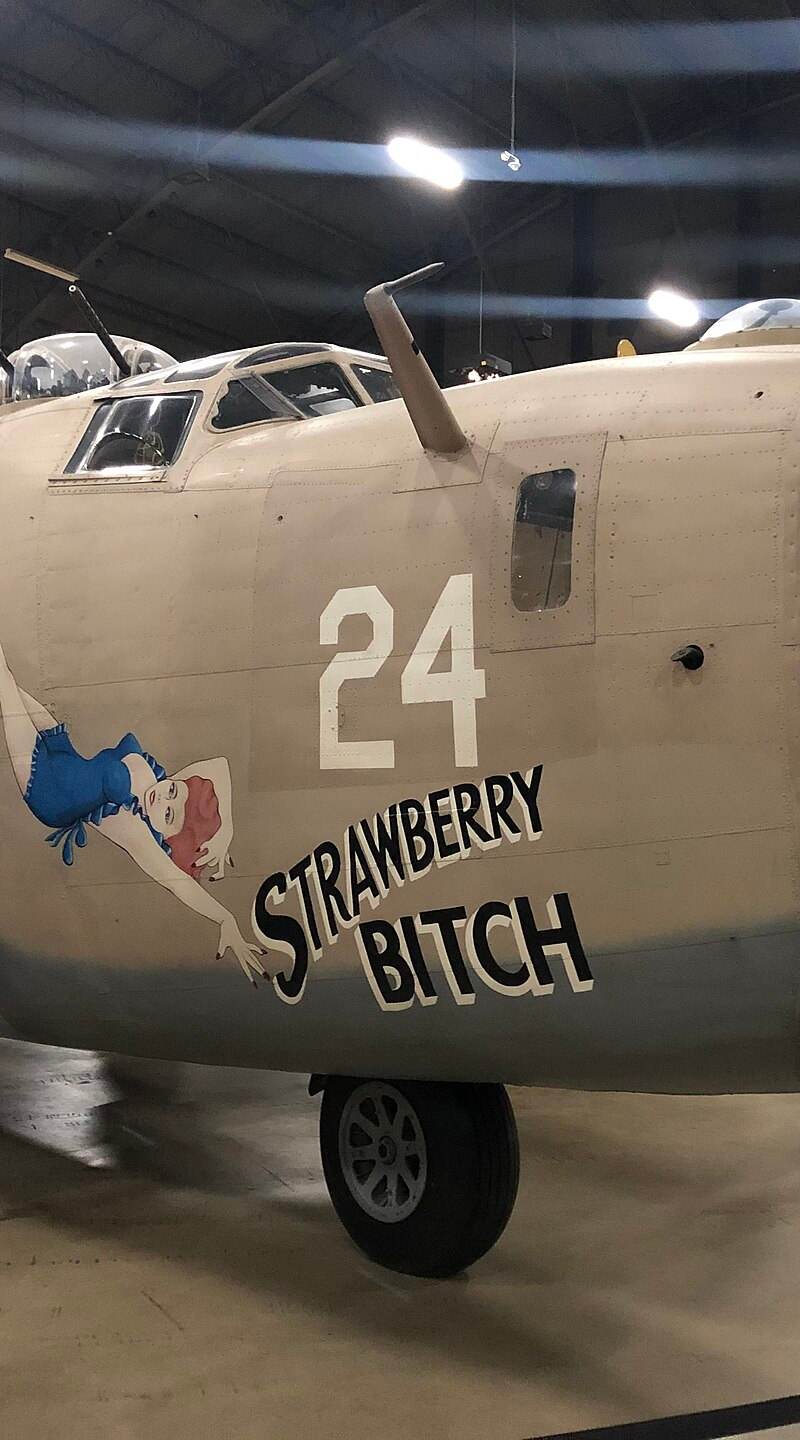  - Warbird
