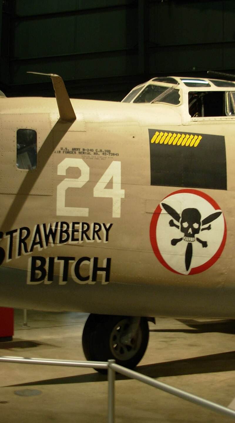  - Warbird
