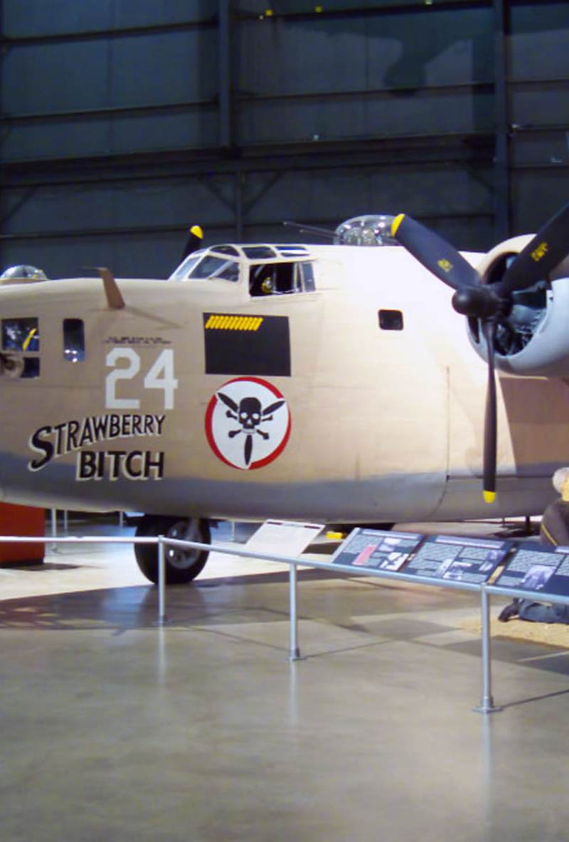  - Warbird