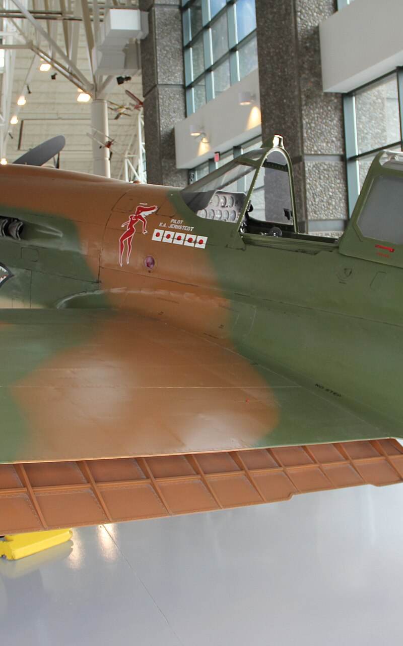  - Warbird