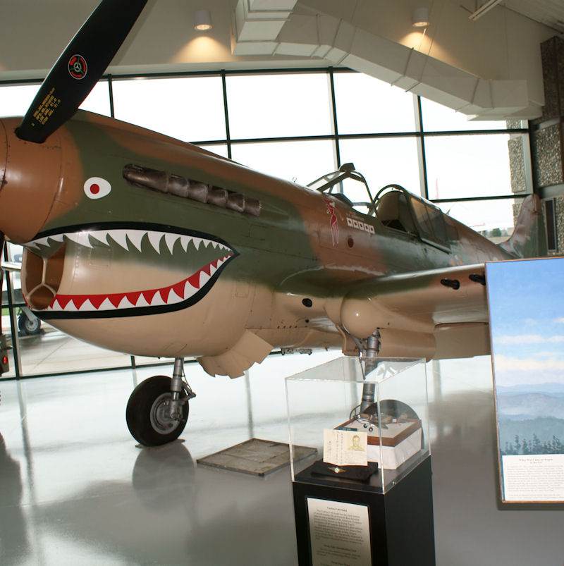  - Warbird