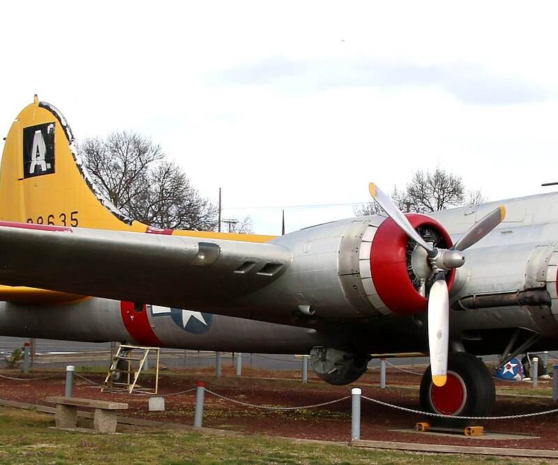  - Warbird