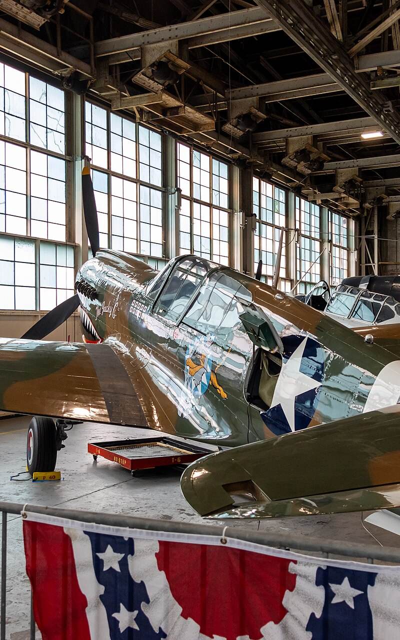 N1232N - Warbird