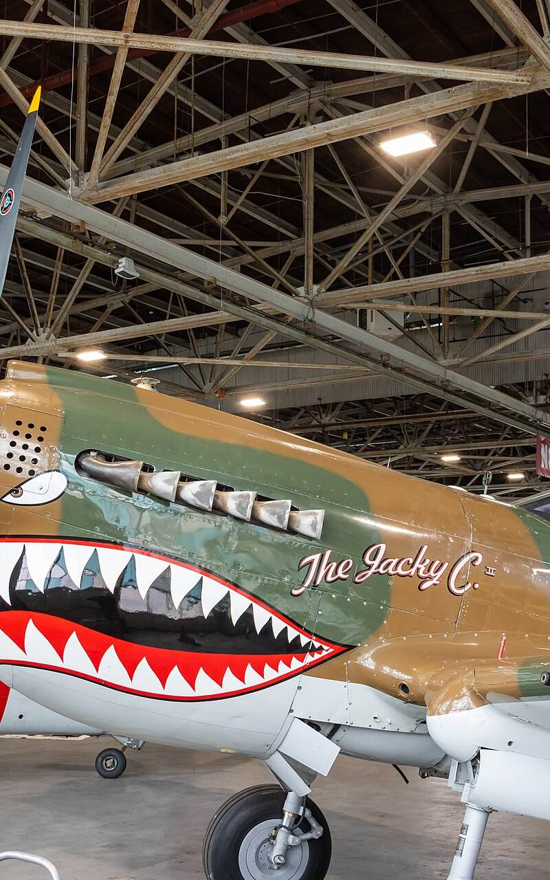 N1232N - Warbird