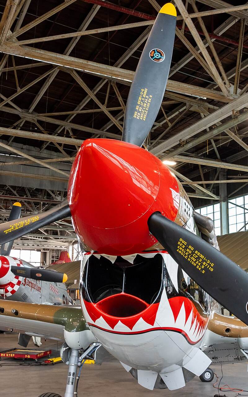 N1232N - Warbird