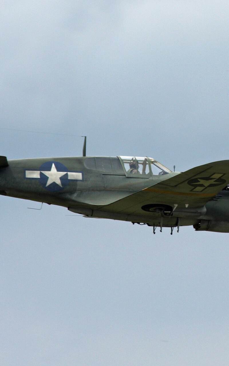  - Warbird