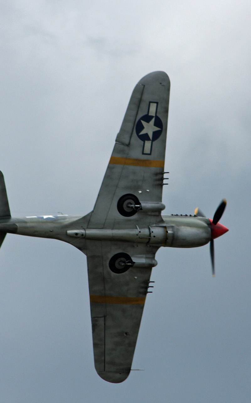  - Warbird