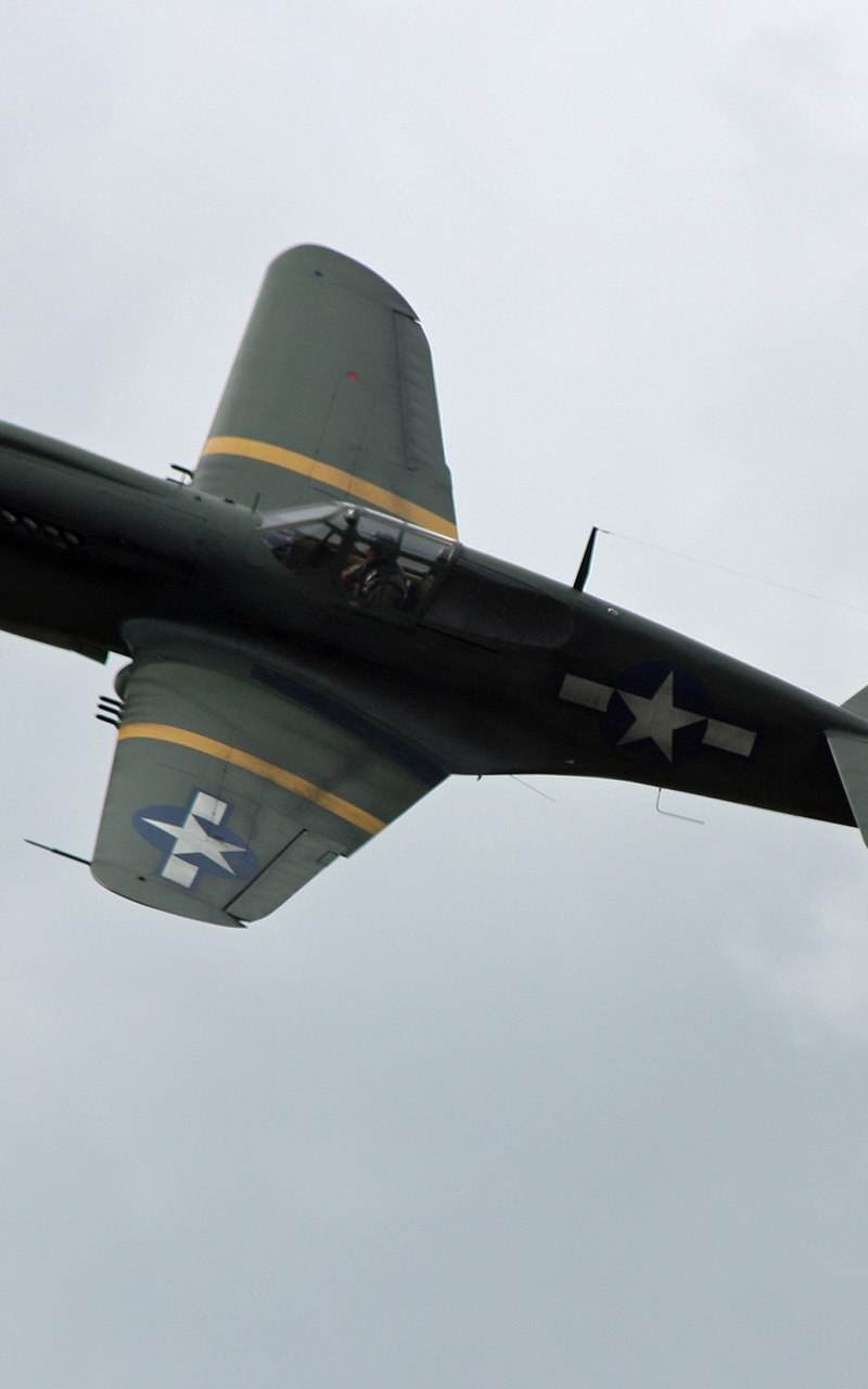  - Warbird