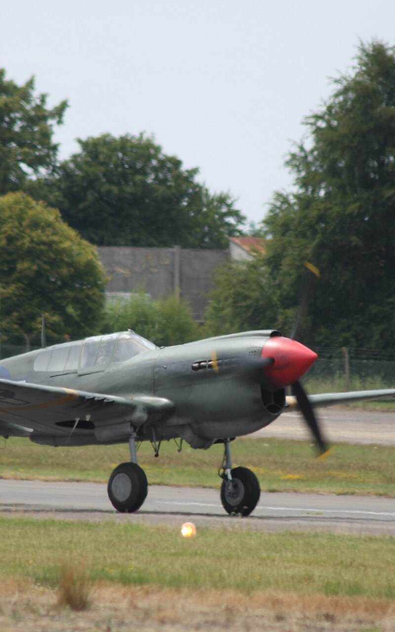  - Warbird