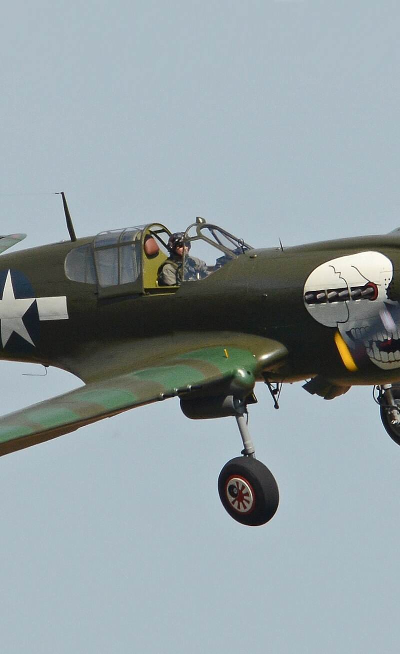  - Warbird