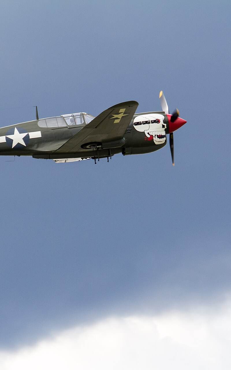  - Warbird
