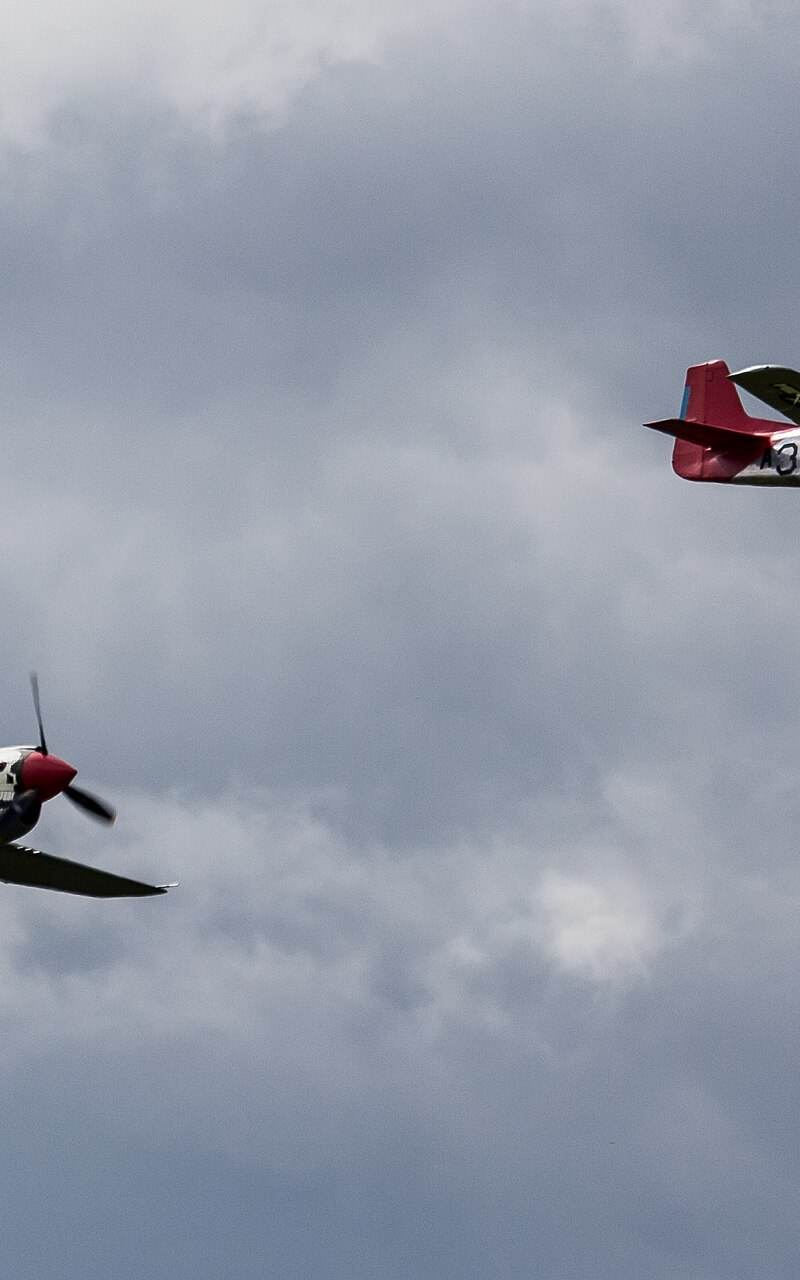  - Warbird