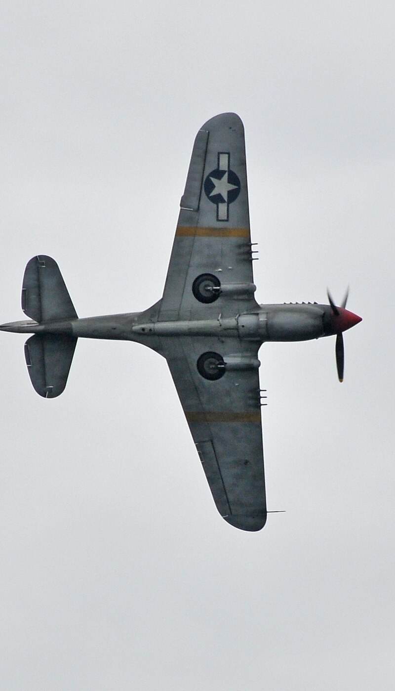  - Warbird