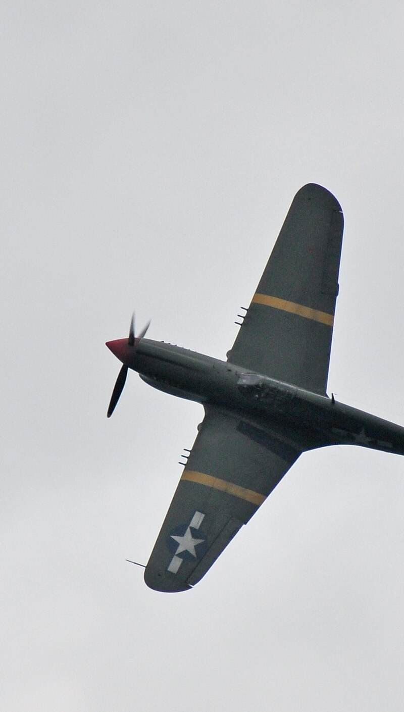  - Warbird