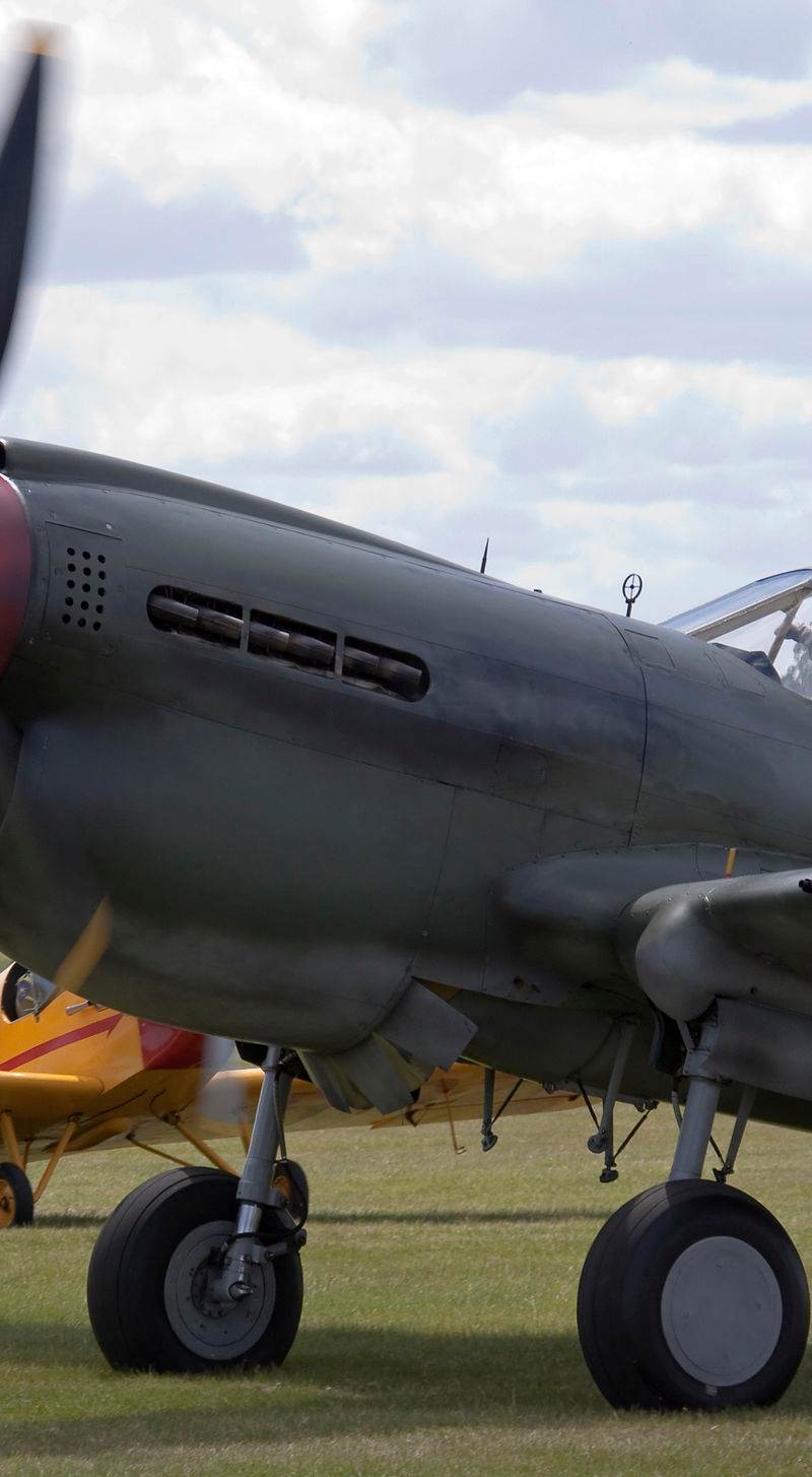  - Warbird