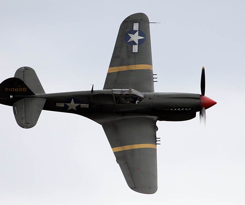  - Warbird