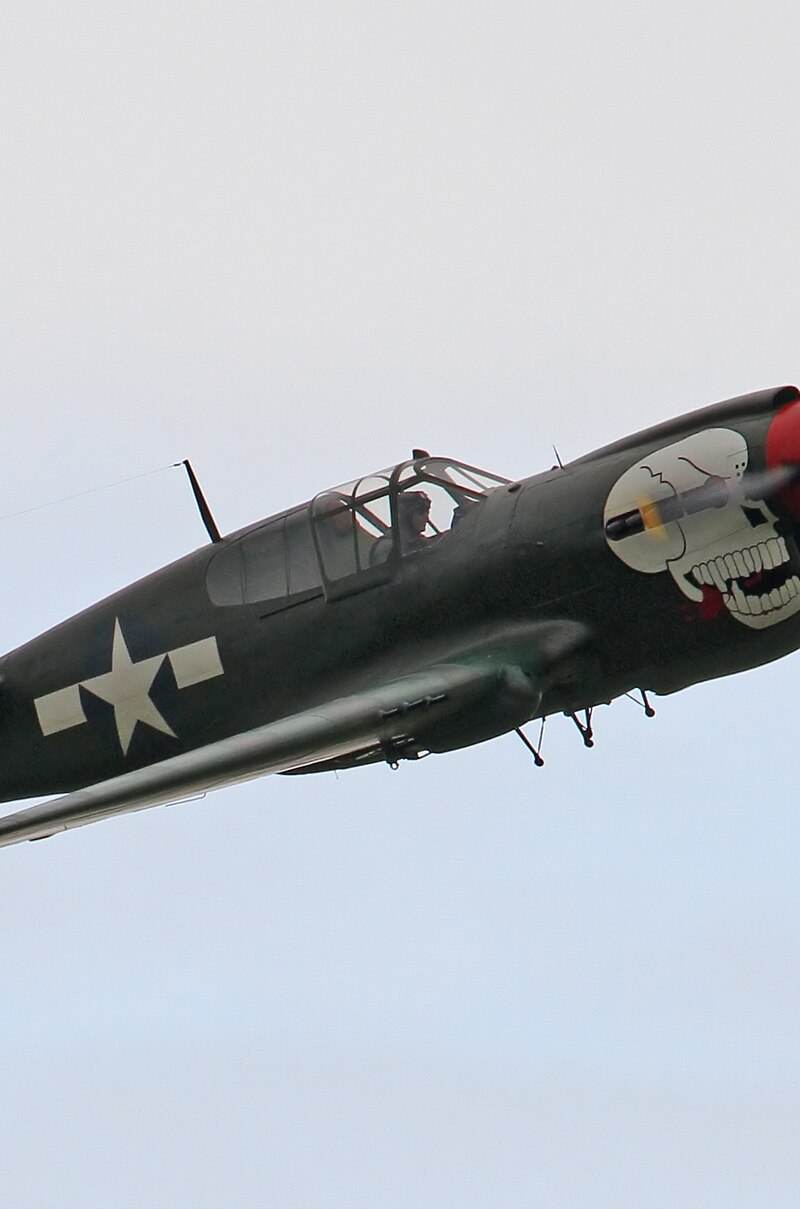 - Warbird