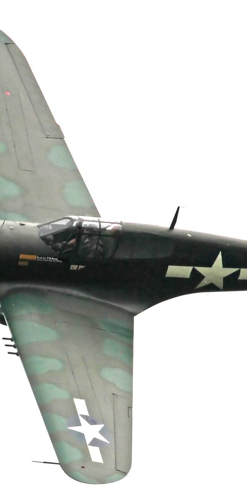  - Warbird