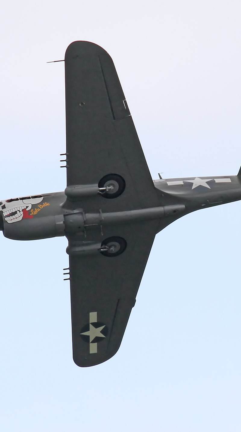  - Warbird