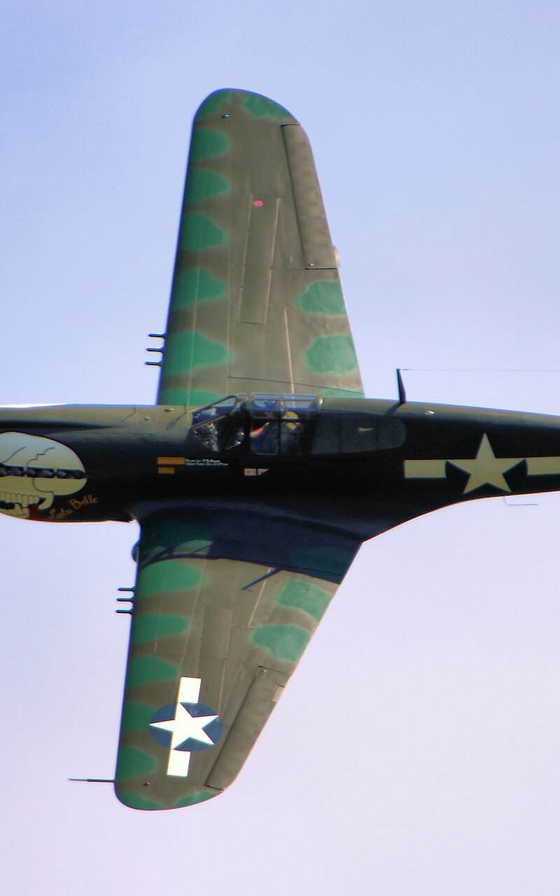 - Warbird