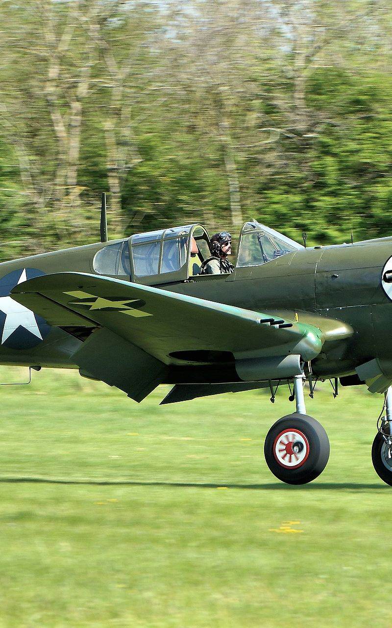  - Warbird