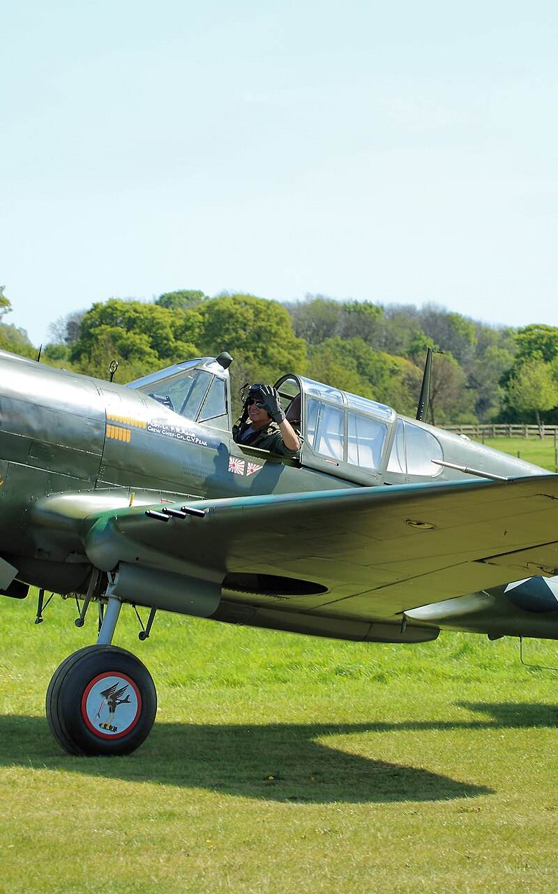  - Warbird