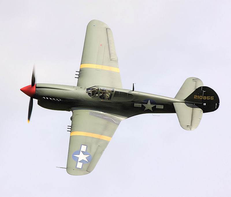  - Warbird